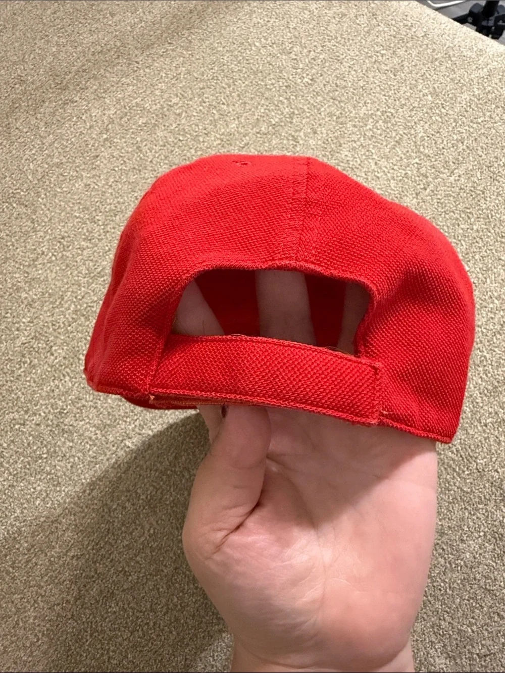 Lacoste bold red